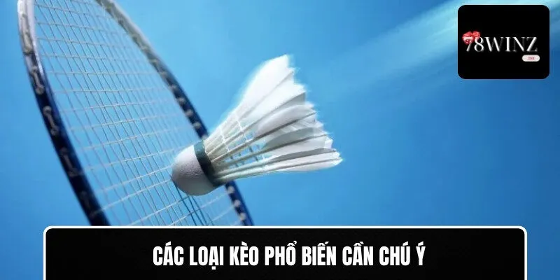 Các loại kèo phổ biến cần chú ý khi chơi cá cược cho cầu lông