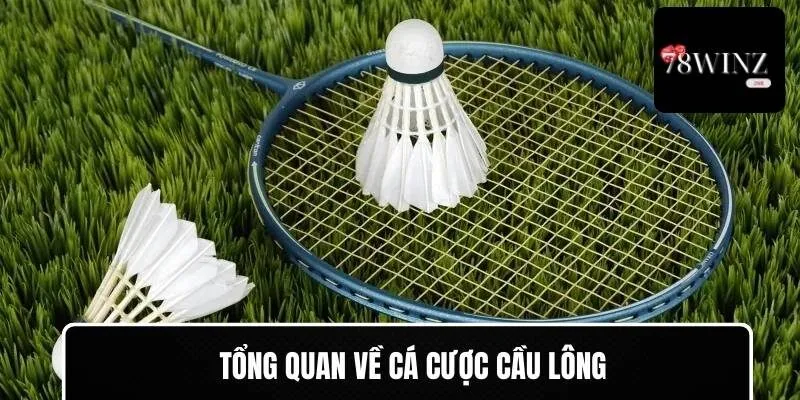 Tổng quan về cá cược cầu lông