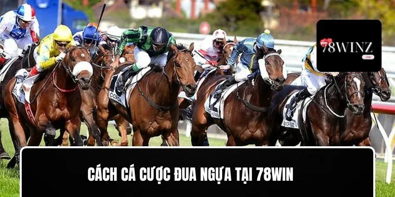 Mẹo cá cược hiệu quả với đua ngựa