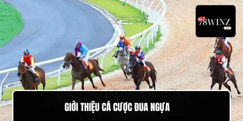 Thông tin về cá cược đua ngựa